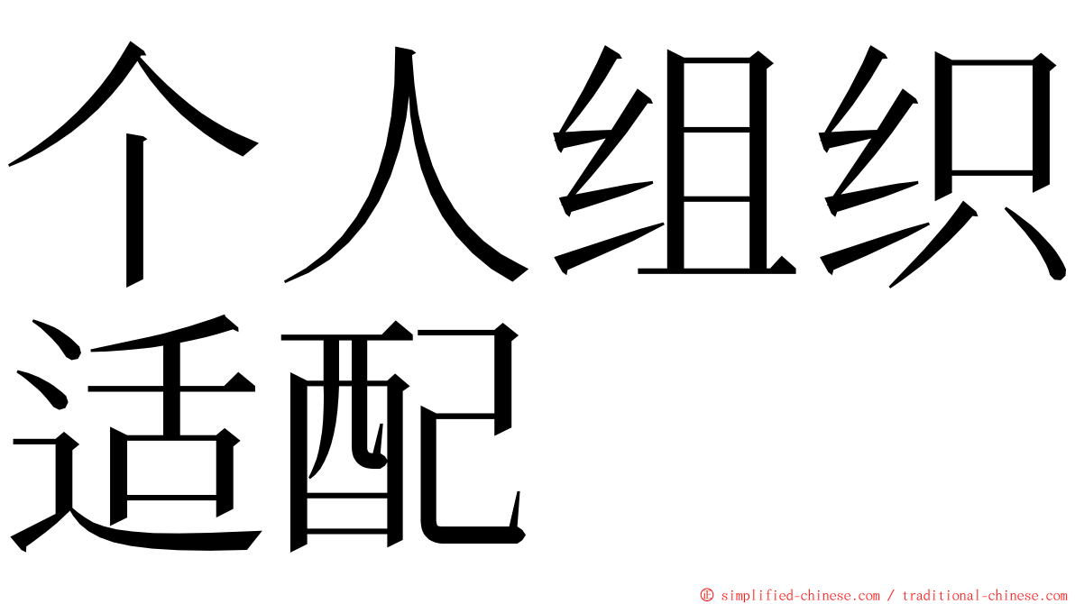 个人组织适配 ming font
