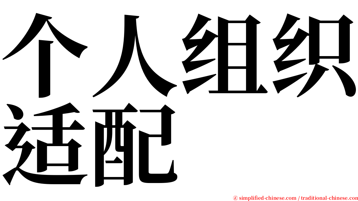 个人组织适配 serif font