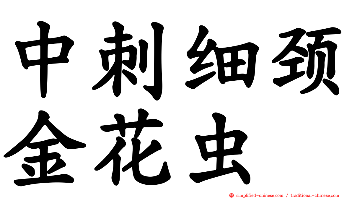 中刺细颈金花虫