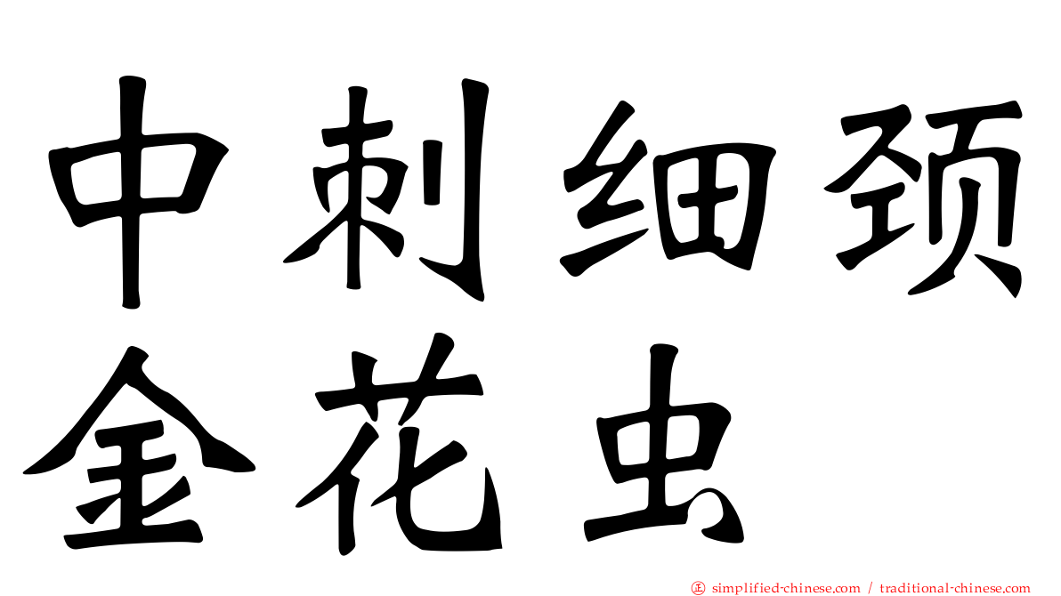 中刺细颈金花虫