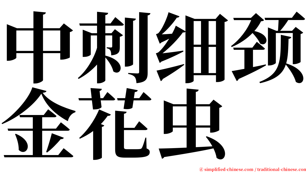 中刺细颈金花虫 serif font