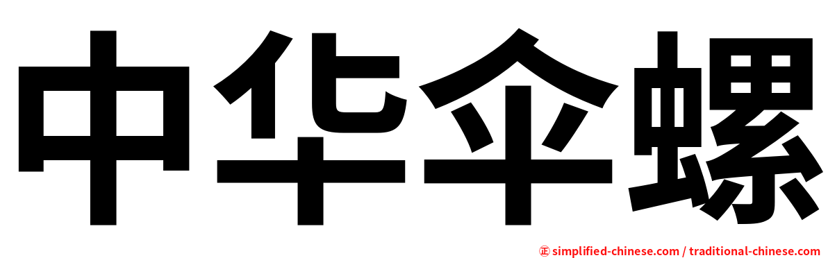 中华伞螺