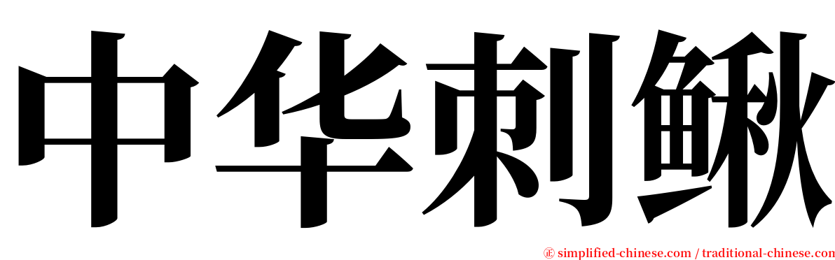中华刺鳅 serif font