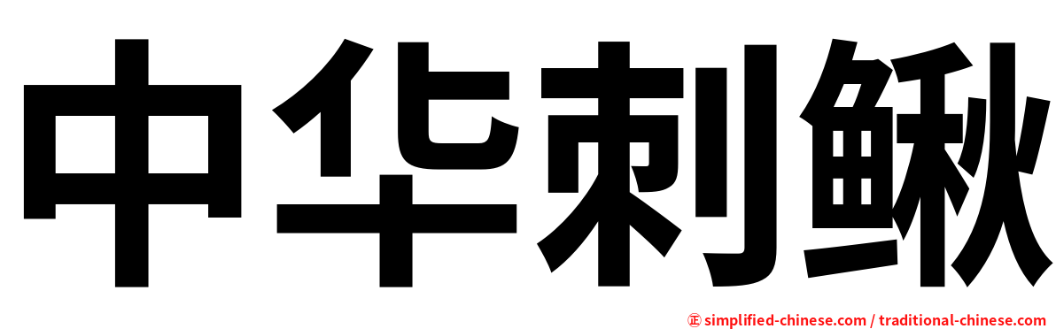 中华刺鳅