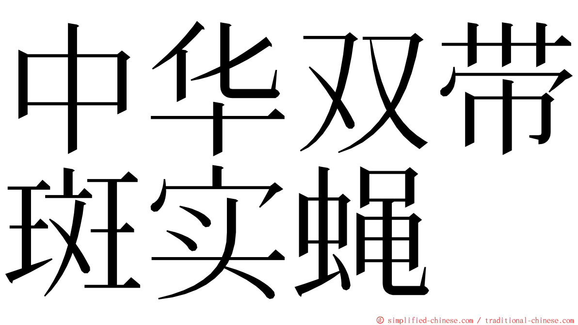 中华双带斑实蝇 ming font