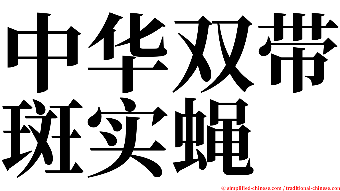 中华双带斑实蝇 serif font