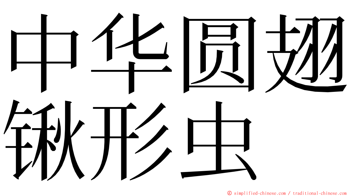 中华圆翅锹形虫 ming font