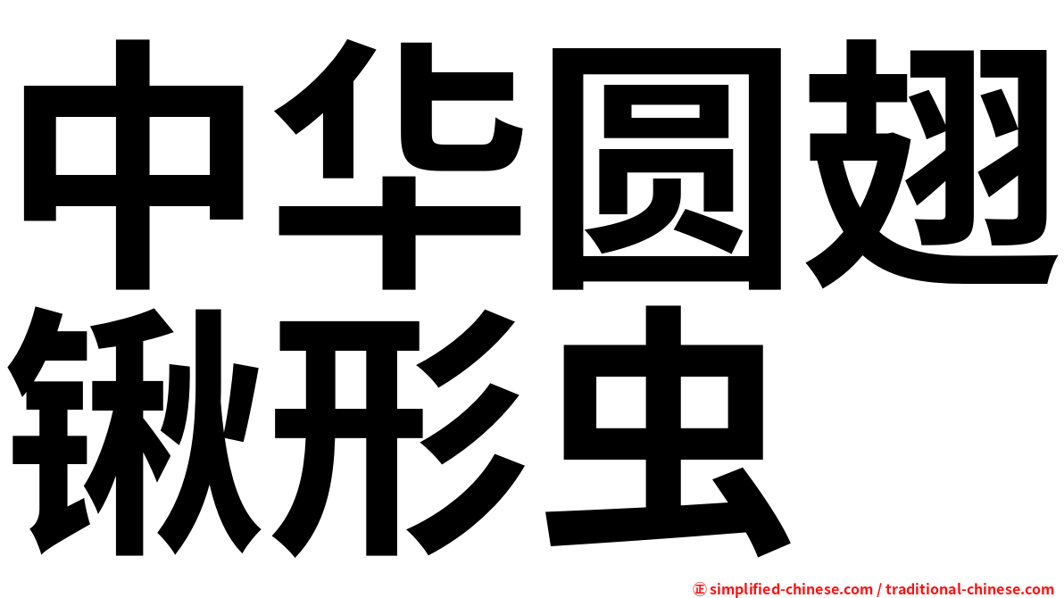 中华圆翅锹形虫