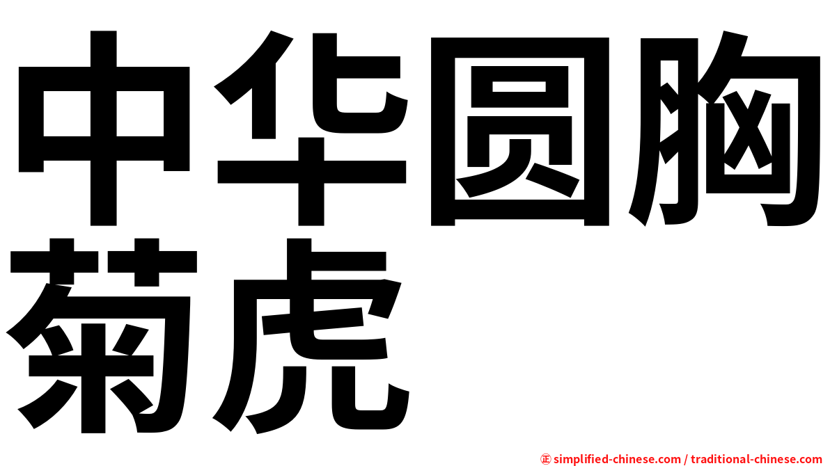 中华圆胸菊虎