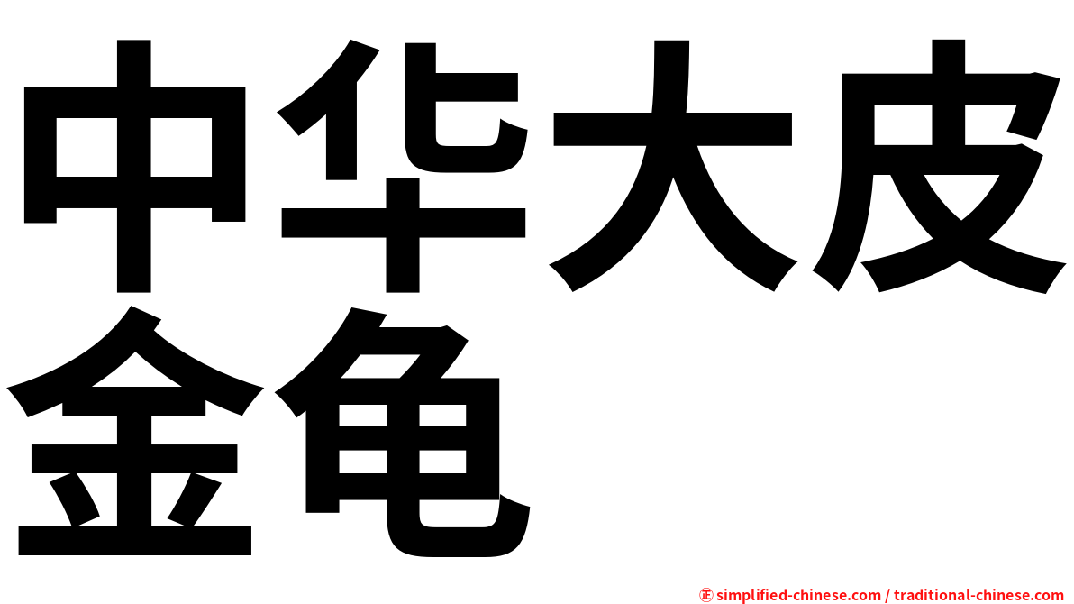 中华大皮金龟