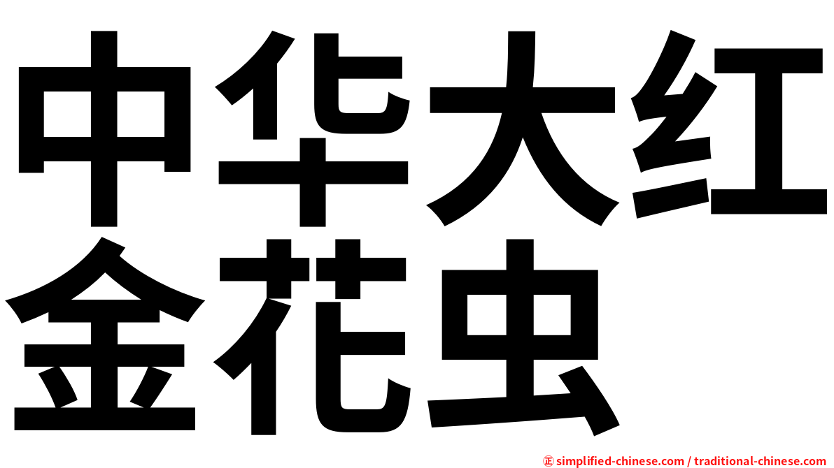 中华大红金花虫