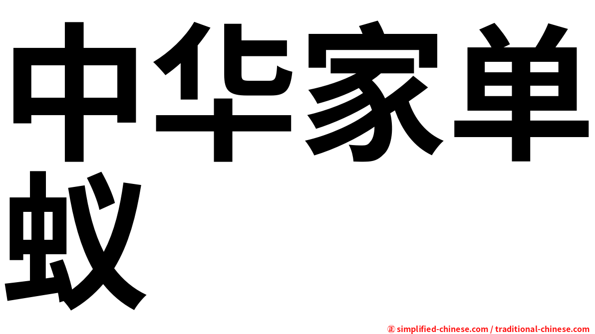 中华家单蚁