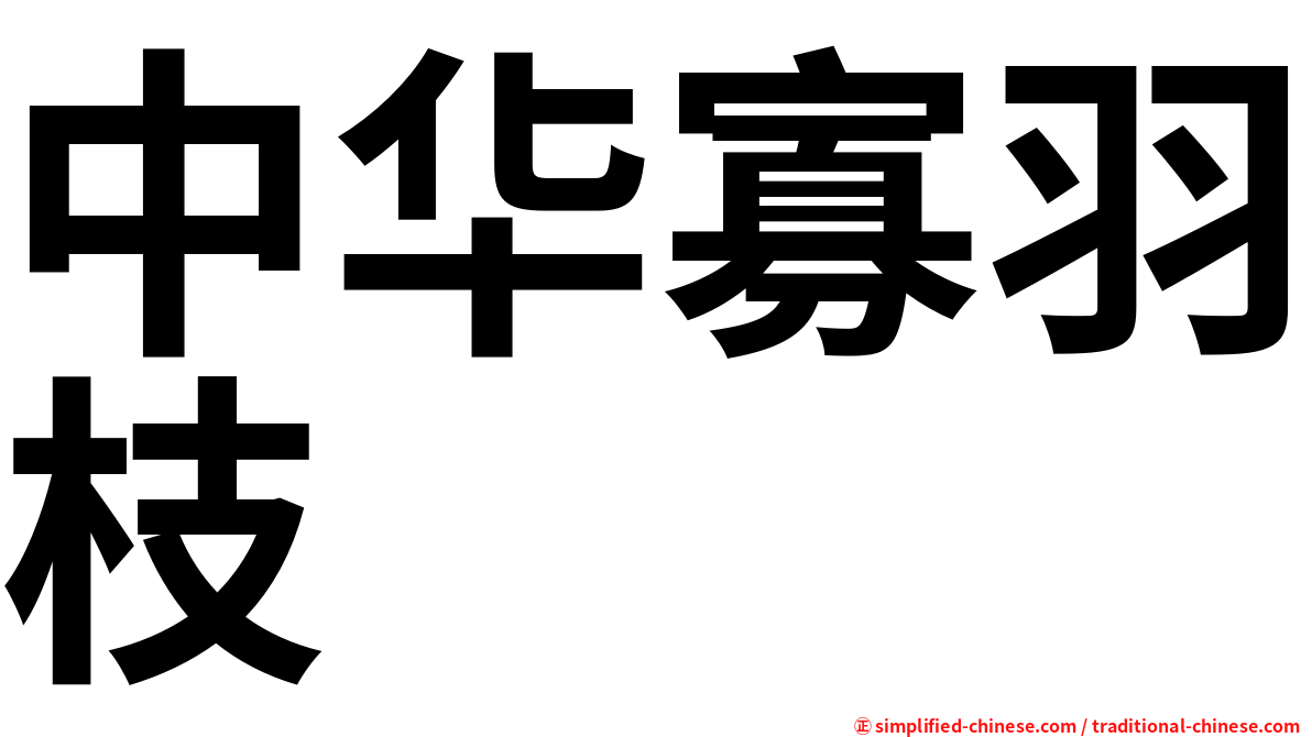 中华寡羽枝