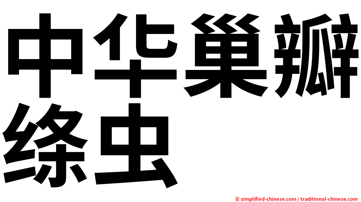 中华巢瓣绦虫