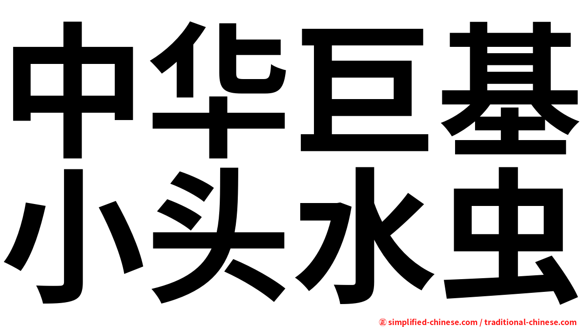 中华巨基小头水虫