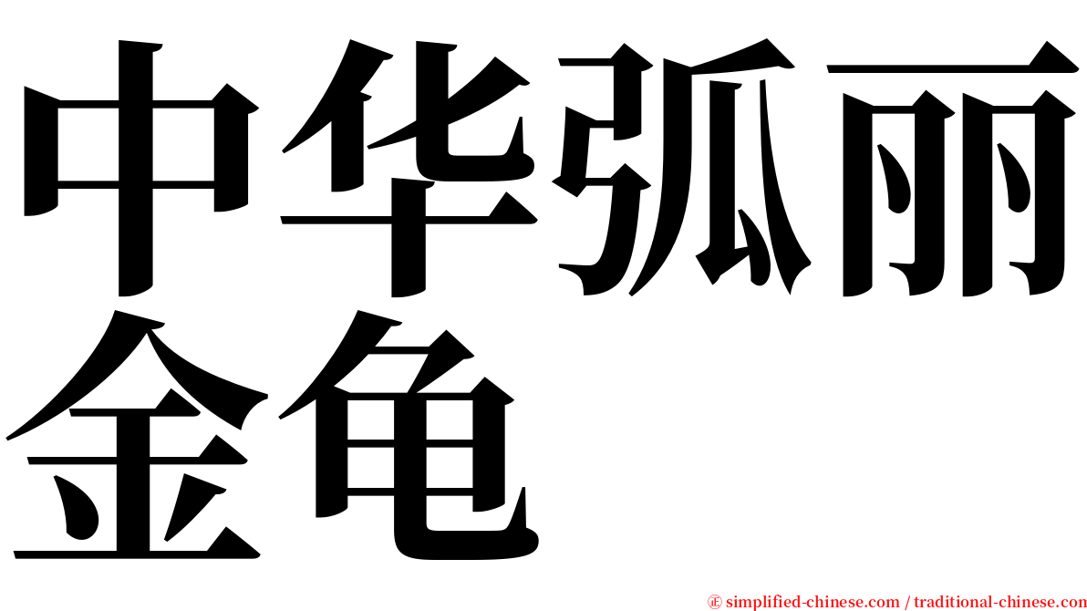 中华弧丽金龟 serif font