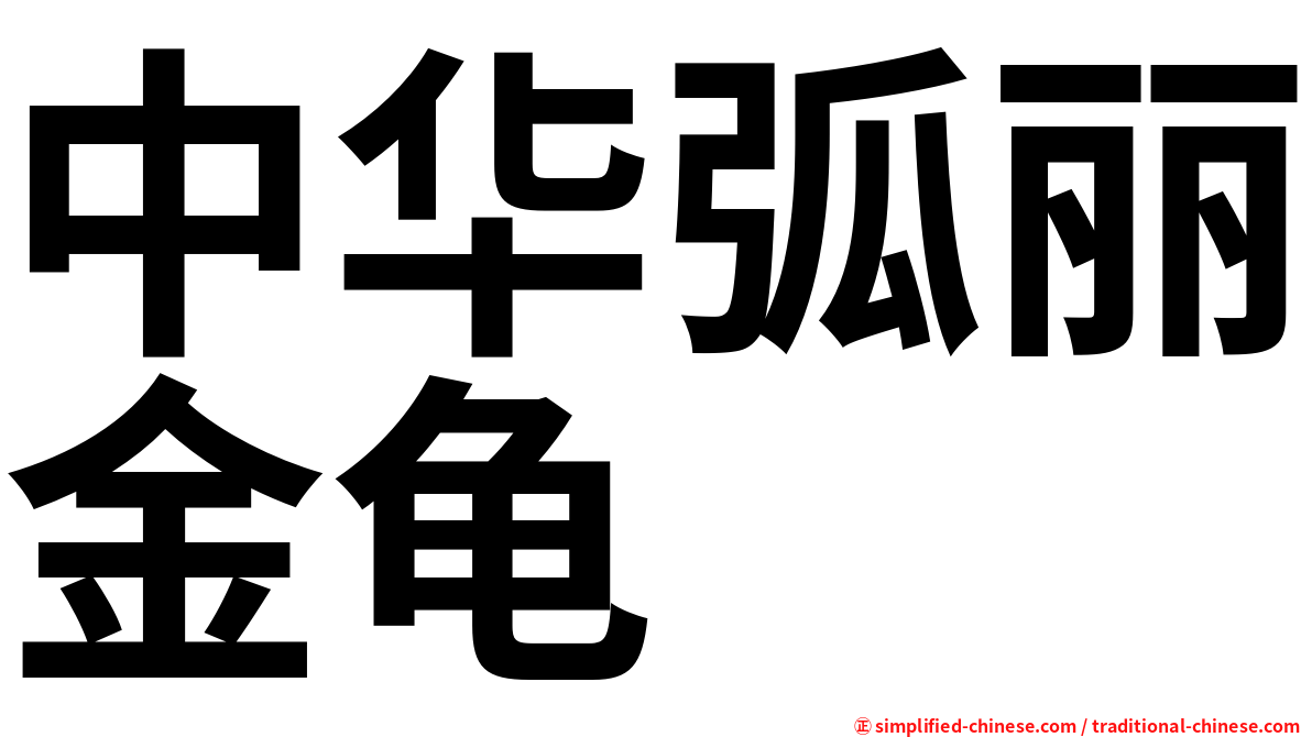 中华弧丽金龟