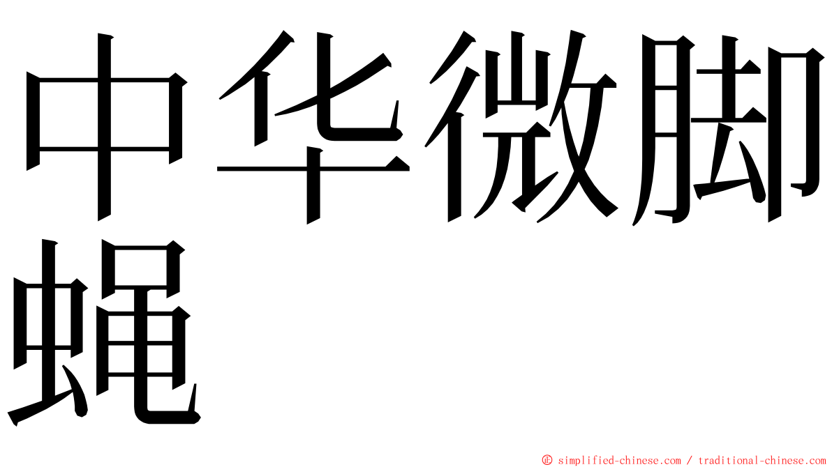 中华微脚蝇 ming font