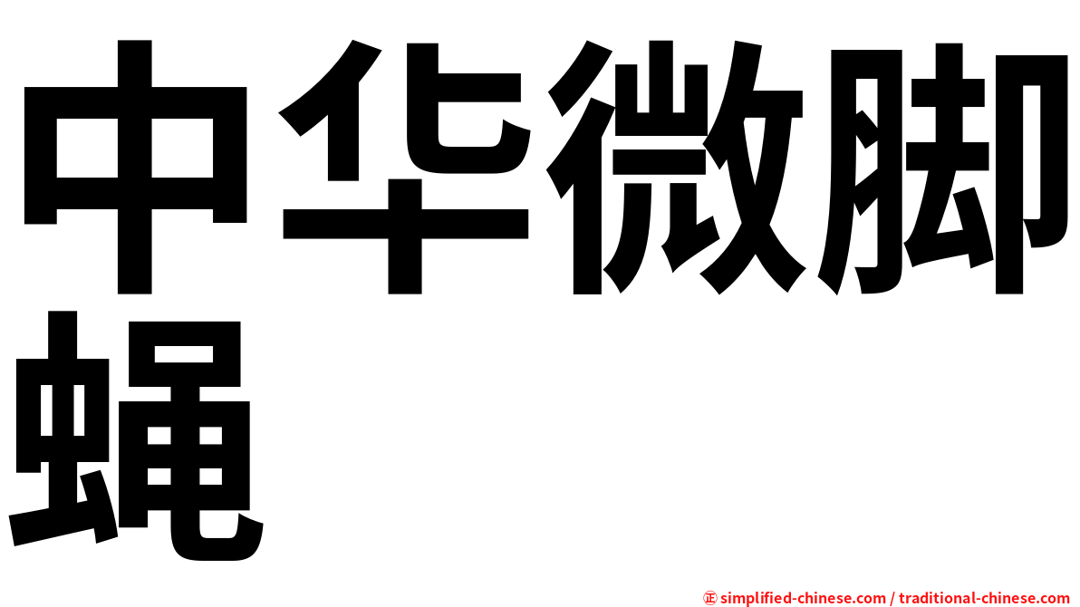 中华微脚蝇