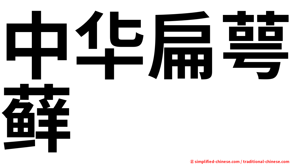 中华扁萼藓