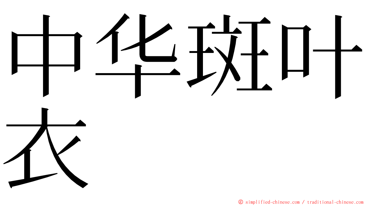 中华斑叶衣 ming font