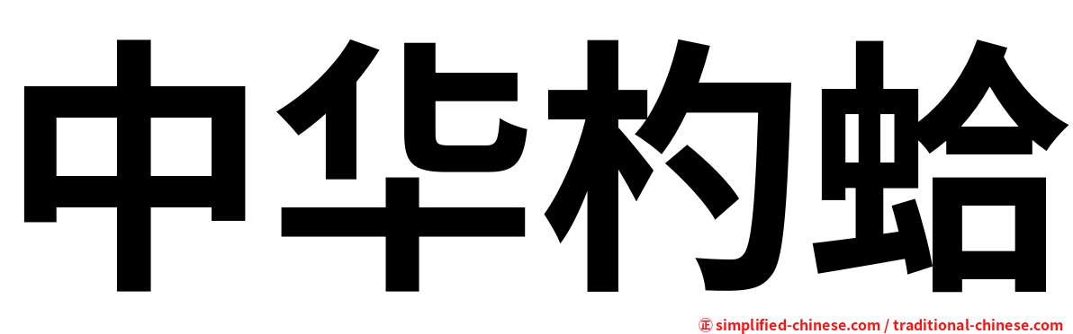 中华杓蛤
