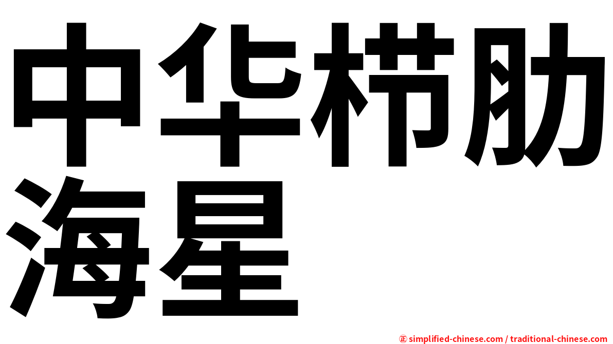 中华栉肋海星
