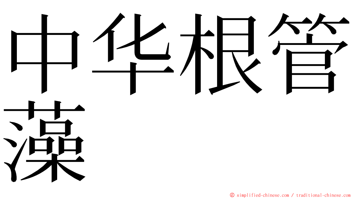中华根管藻 ming font