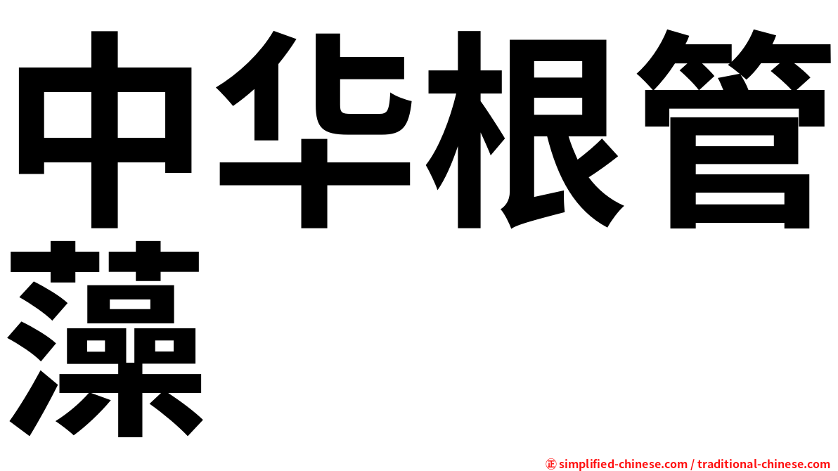 中华根管藻