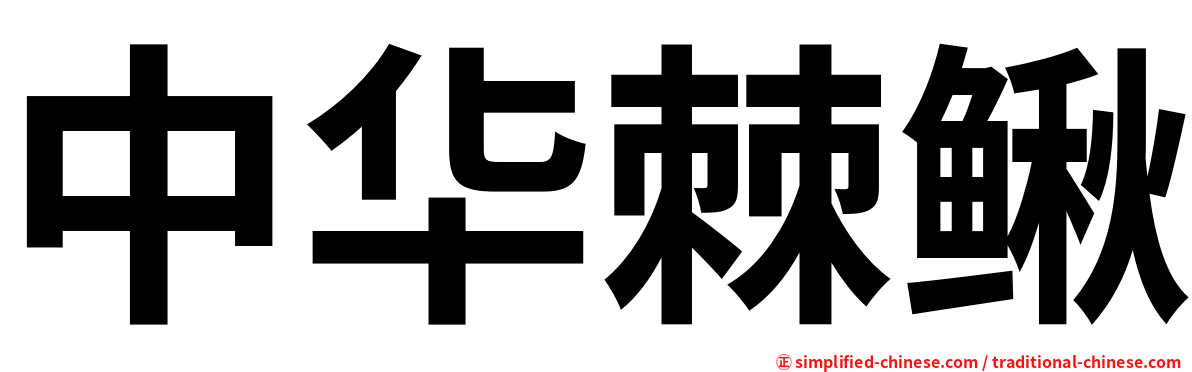 中华棘鳅