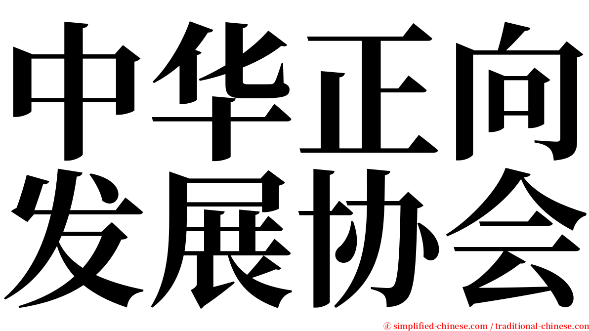 中华正向发展协会 serif font