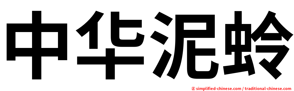 中华泥蛉