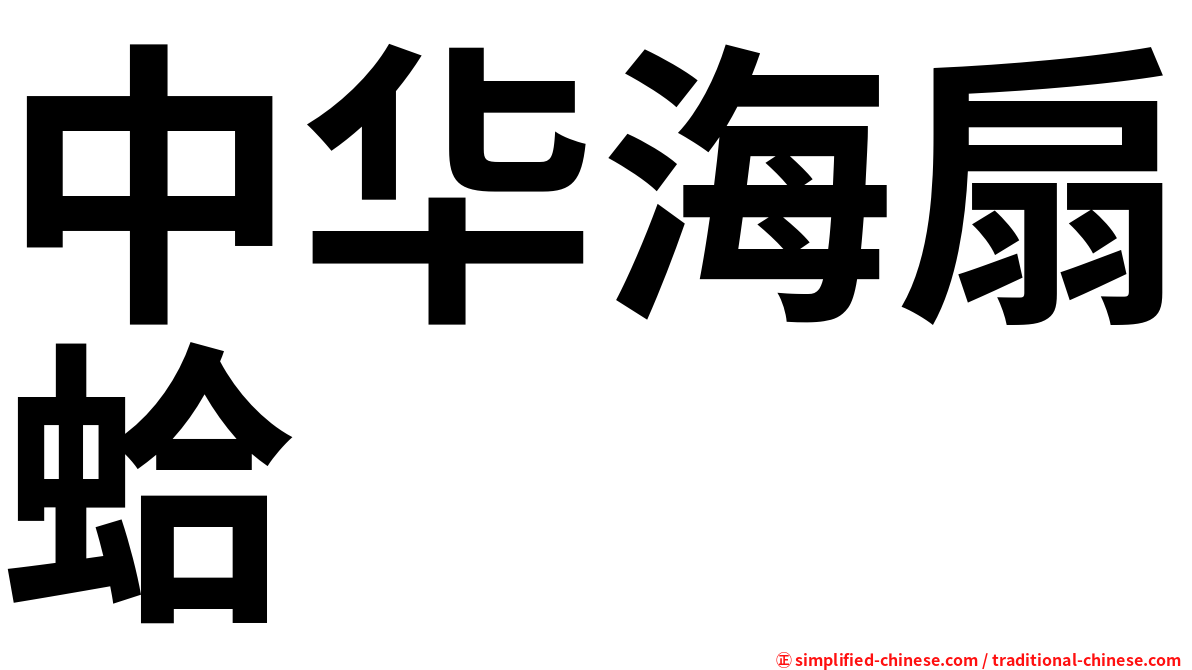 中华海扇蛤
