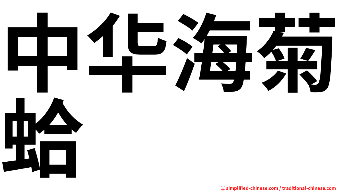中华海菊蛤