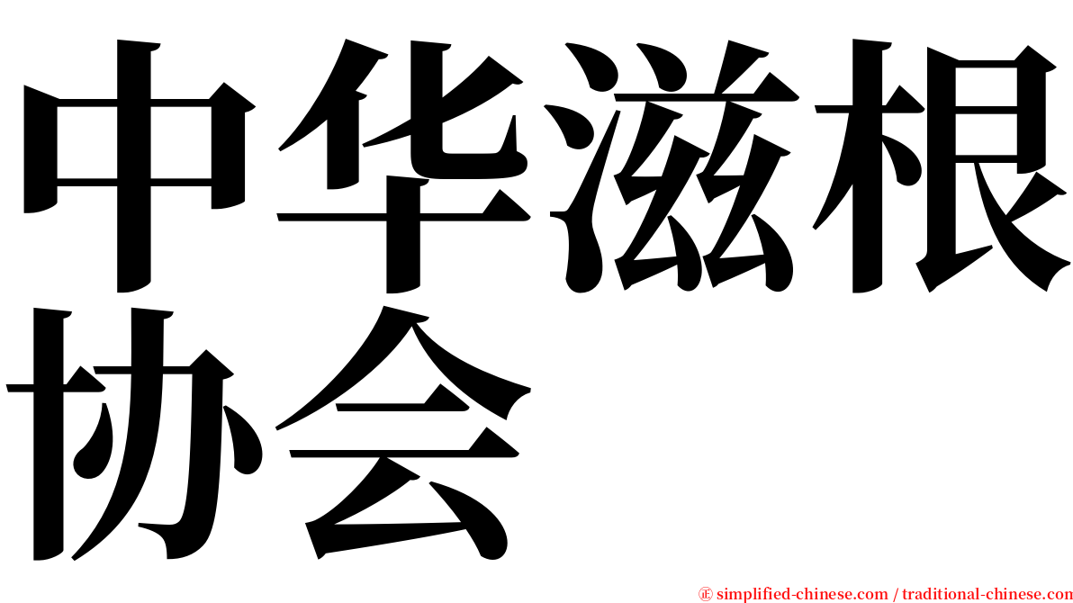 中华滋根协会 serif font