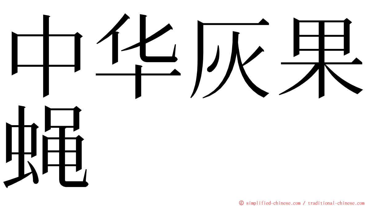 中华灰果蝇 ming font