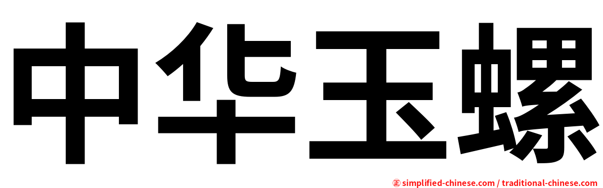 中华玉螺