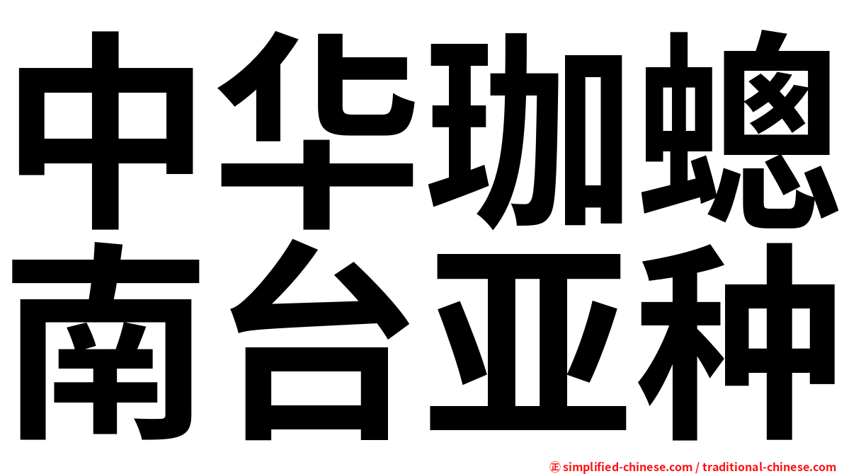 中华珈蟌南台亚种