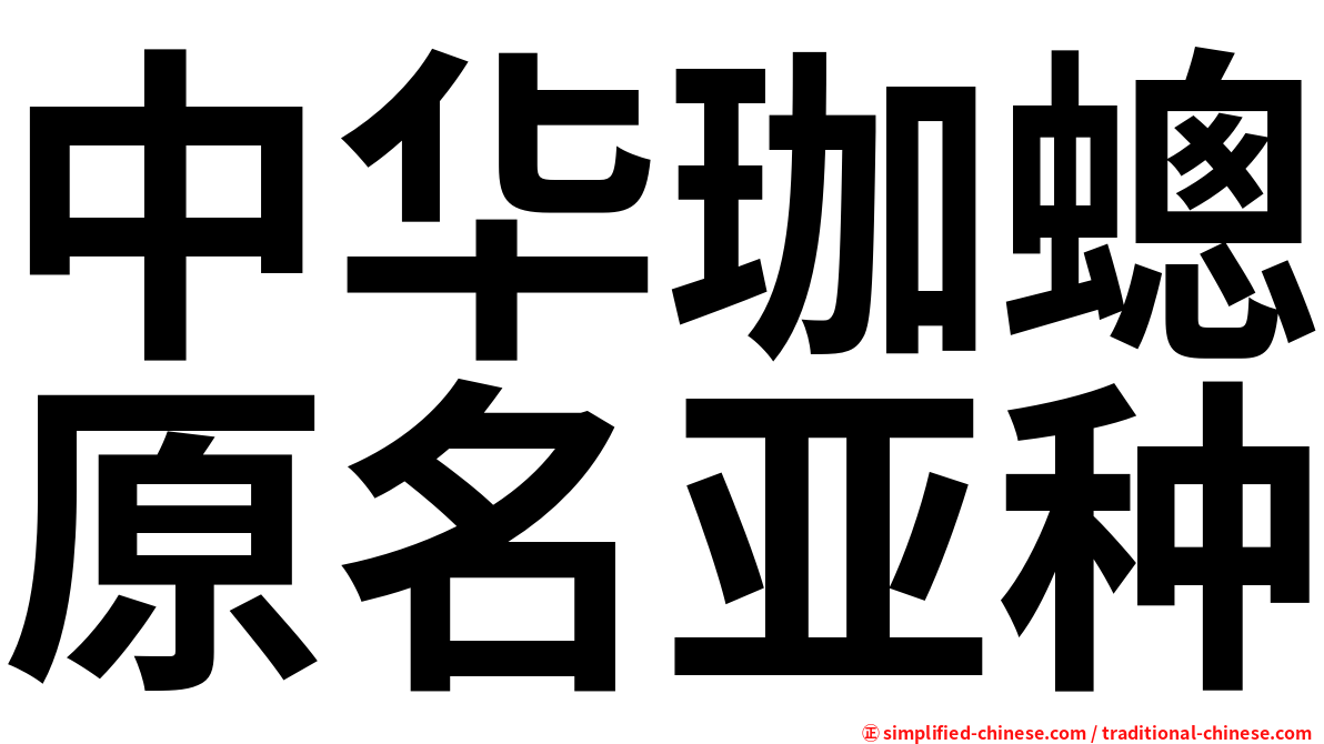中华珈蟌原名亚种