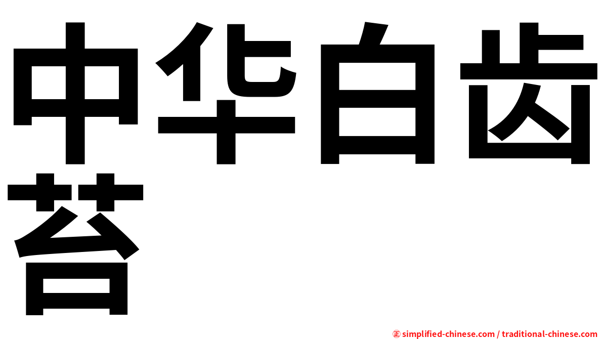 中华白齿苔
