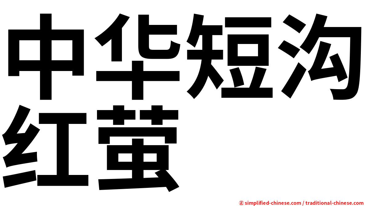 中华短沟红萤
