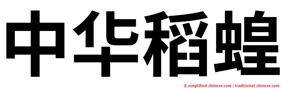 中华稻蝗