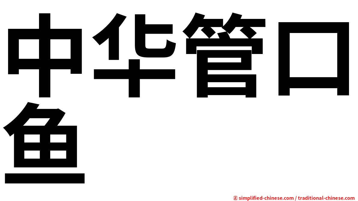 中华管口鱼