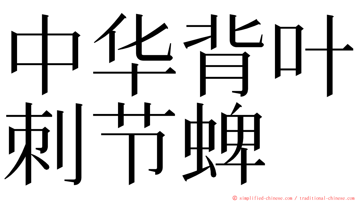 中华背叶刺节蜱 ming font