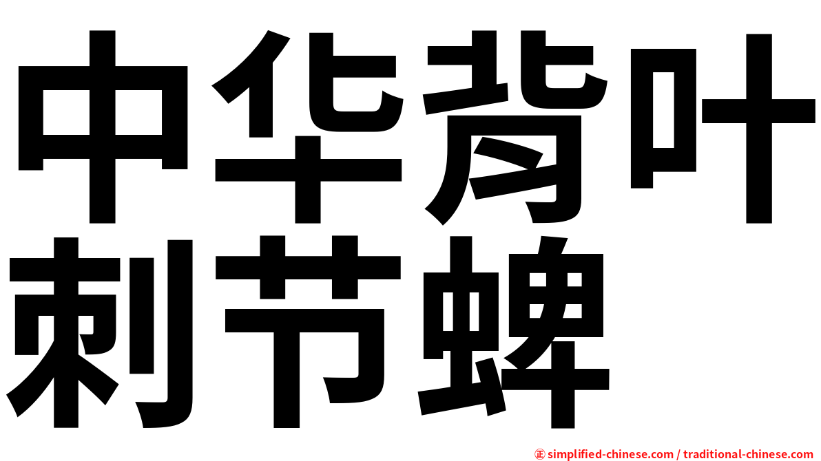 中华背叶刺节蜱