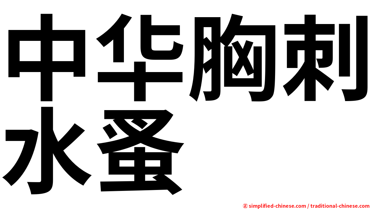 中华胸刺水蚤