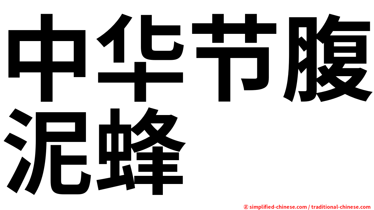 中华节腹泥蜂