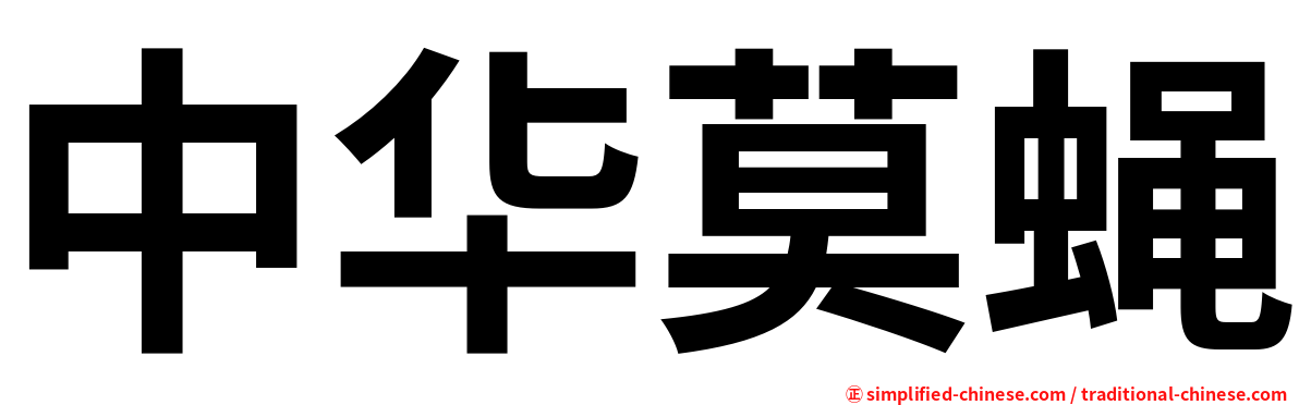 中华莫蝇