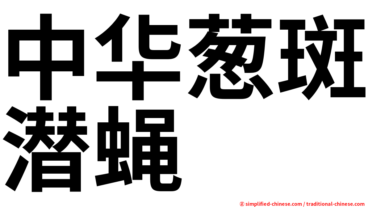 中华葱斑潜蝇