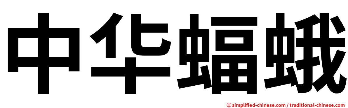 中华蝠蛾